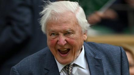 David Attenborough au tournoi de tennis de Wimbledon, en Angleterre, le 1er juillet 2024