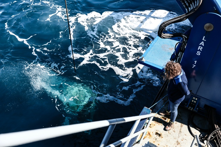 Marine Sadania, archéologue sous-marine, observe le ROV C 4000 lors de sa mise à l'eau pour une mission archéologique sur l'épave du Camara 4 au large de Ramatuelle, dans le Var, le 7 avril 2026
