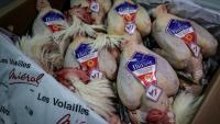 Des poulets de Bresse au Marché international de Rungis, à Rungis dans le Val-de-Marne au sud de Paris, le 10 décembre 2025