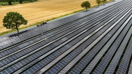 Installation agrivoltaïque à Wadersloh (ouest), juillet 2026