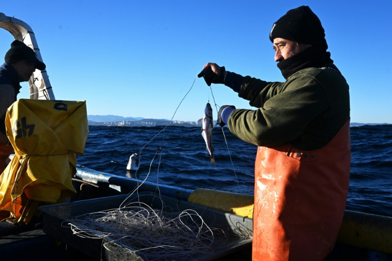 Le pêcheur artisanal Rodrigo Gallardo montre un merlu pêché au large de Caleta Portales, à Valparaiso, au Chili, le 27 mai 2025