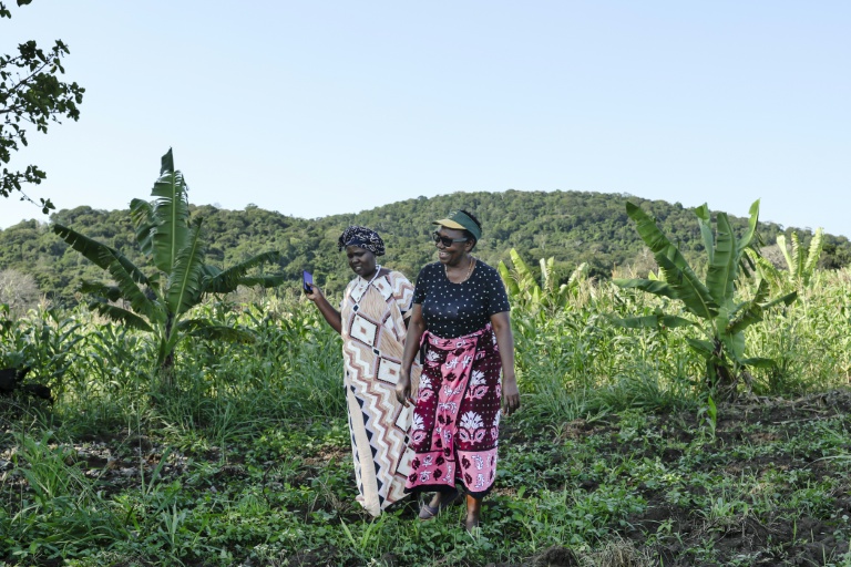 Domitila Mueni (G), trésorière de l'Association de Mrima Hill, rend visite à une voisine près de 
la colline boisée de Mrima hill, à Lunga-Lunga, dans le sud-est du Kenya près de la frontière tanzanienne, le 26 septembre 2025