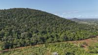 Vue aérienne d'une partie de la colline boisée de Mrima hill, à Lunga-Lunga, dans le sud-est du Kenya près de la frontière tanzanienne, le 26 septembre 2025