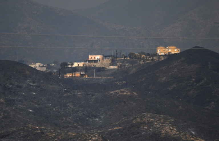 Des maisons situées dans une zone ravagée par un incendie de forêt  près de Los Gallardos, dans la province d'Almería, le 10 juillet 2026 en Espagne