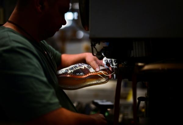 Un ouvrier coud une chaussure, dans l'usine Paraboot de Saint-Jean-de-Moirans, en Isère, le 27 mai 2025