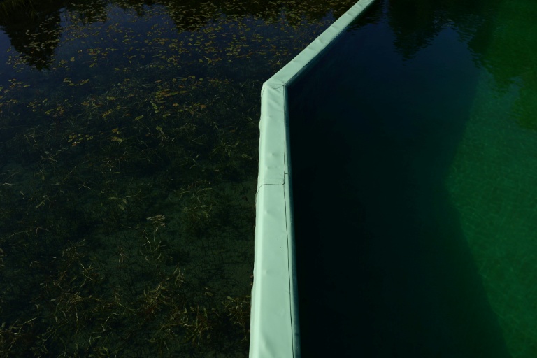 La séparation entre l'espace baignade, à droite, et un bassin de filtration naturelle, dans le plan d'eau biotope de Combloux, en Haute-Savoie, le 12 août 2026