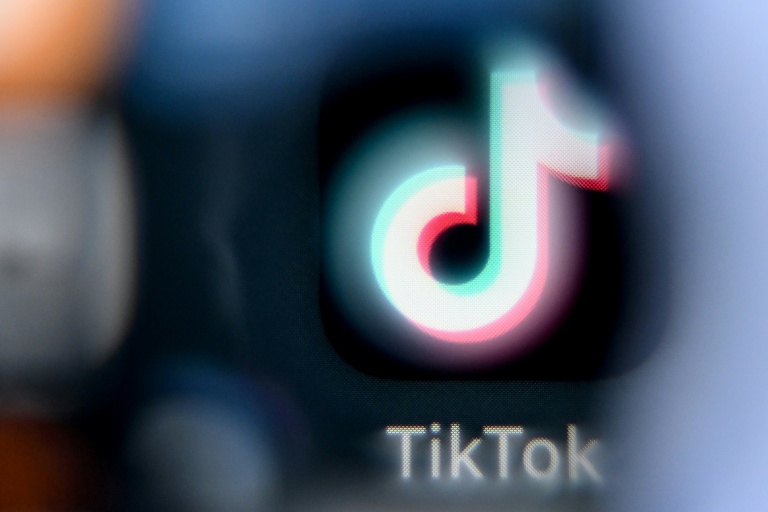 Le géant de la tech Meta et l'application TikTok vont interdire aux moins de 16 ans d'accéder à leurs services en Australie, conformément aux exigences de Canberra