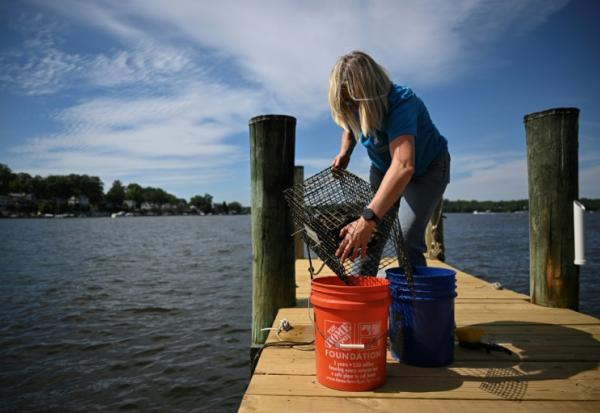Kimberly Price, sur le ponton de sa maison où elle cultive des huîtres, à Crownsville, dans la baie de Chesapeake, le 20 mai 2025 dans le Maryland