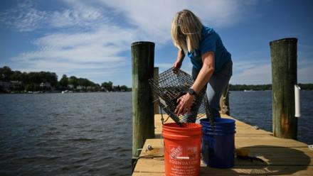 Kimberly Price, sur le ponton de sa maison où elle cultive des huîtres, à Crownsville, dans la baie de Chesapeake, le 20 mai 2025 dans le Maryland