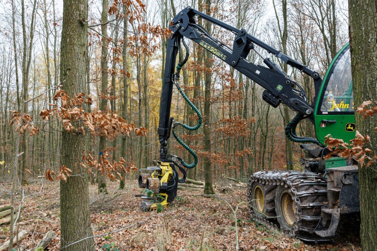 Une abatteuse forestière se dresse dans une forêt près d'Annarode, face à un tas de bois de hêtre fraîchement coupé pour alimenter la raffinerie du groupe finlandais UPM