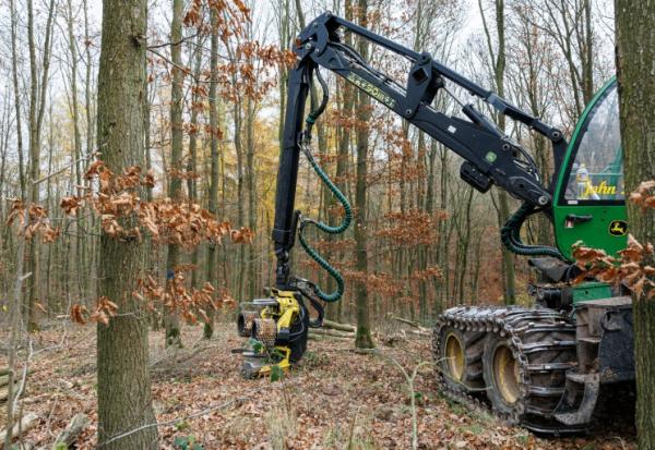 Une abatteuse forestière se dresse dans une forêt près d'Annarode, face à un tas de bois de hêtre fraîchement coupé pour alimenter la raffinerie du groupe finlandais UPM