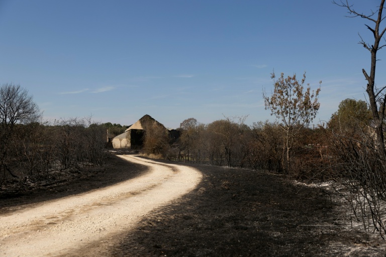 Une ferme partiellement détruite par un incendie, à Saint-Michel-en-Brenne, dans l'Indre, le 10 juillet 2026