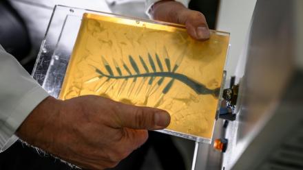 Un artisan injecte de la cire bleue dans un moule en caoutchouc lors d'une démonstration sur la fabrication de la Palme d'or de Cannes, le 21 avril 2026, dans un atelier de la maison Chopard à Meyrin, près de Genève 