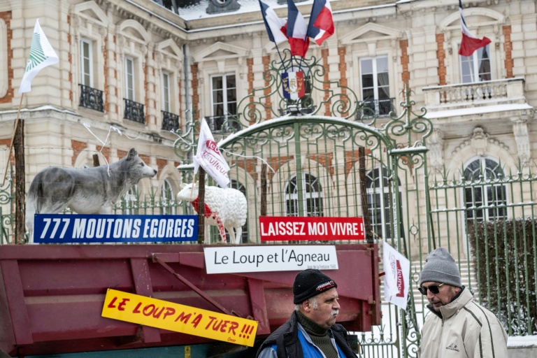 Manifestation d'agriculteurs contre les attaques de loups sur les élevages devant la préfecture de Chaumont en Haute-Marne le 3 janvier 2026