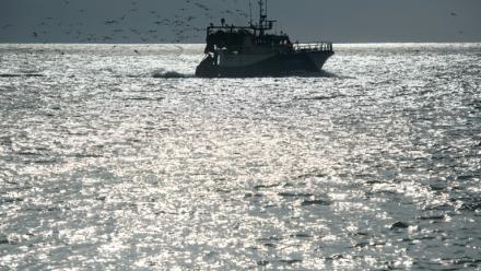 Un chalutier près du port des Sables-d'Olonne, le 12 février 2021 dans l'ouest de la France