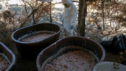 Un expert de l’armée mexicaine observe des conteneurs de pâte de méthamphétamine dans un laboratoire clandestin près de La Rumorosa, au Mexique, le 28 août 2018 