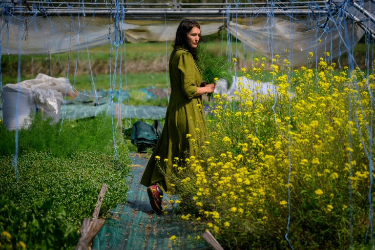 L'agricultrice Kyria Gay pose dans sa ferme lors d'une séance photo à Montjoie-en-Couserans (Ariège), le 14 avril 2026