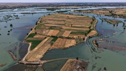 Une zone inondée dans la province syrienne de Deir Ezzor, le 31 mai 2026, suite aux récentes crues provoquées par la montée des eaux de l'Euphrate