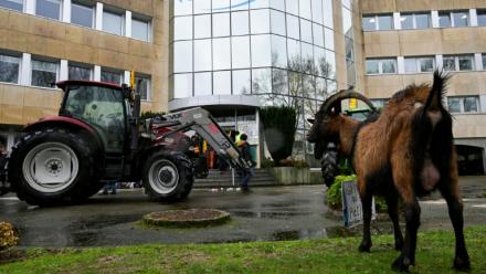 Manifestation de la Confédération paysanne à Laval, en Mayenne, le 21 février 2024.
