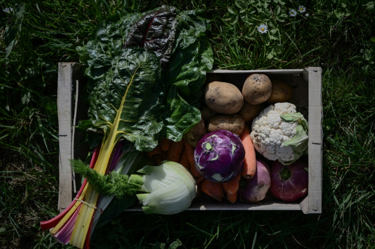 Cette photographie montre un panier de produits biologiques à la ferme bio Les Jardins de l'Aubrecay à Nieul-sur-Mer, près de La Rochelle (Charente-Maritime), le 8 avril 2025.