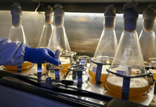 Un chercheur travaille dans le laboratoire de vaccins de la société pharmaceutique Panacea Biotec, le 29 janvier 2026 à New Delhi, en Inde