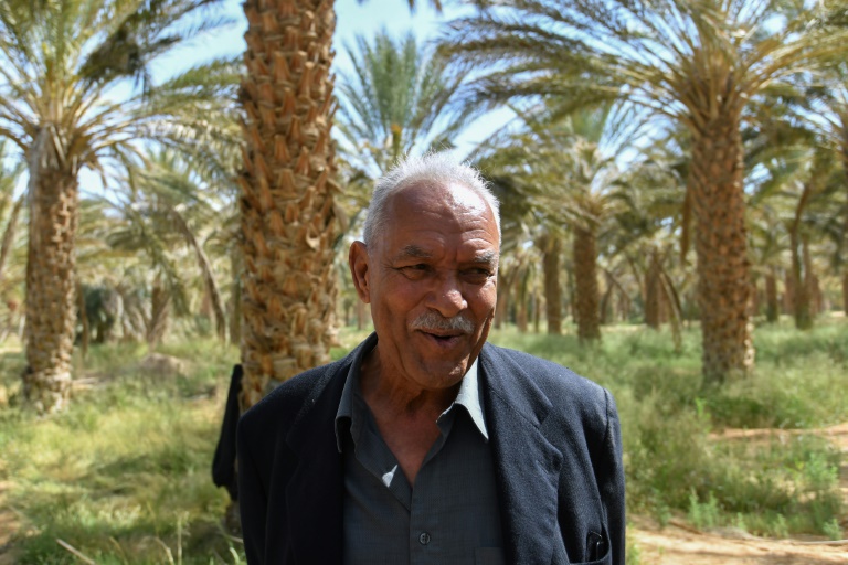 Tahar Ettahri, président l'Association de Sauvegarde des Oasis de Jemna, le 30 avril 2025, dans les palmeraies de Jemna, dans le sud de la Tunisie