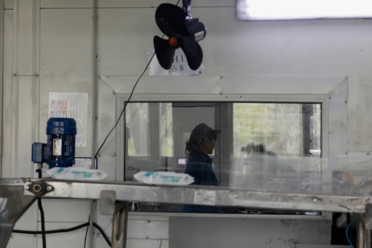 Un employé de Biosphere, à Dnipro le 21 avril 2026 en Ukraine