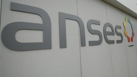 De toutes les causes d'exposition des Français au cadmium, l'alimentation est clairement la principale, souligne l'Anses