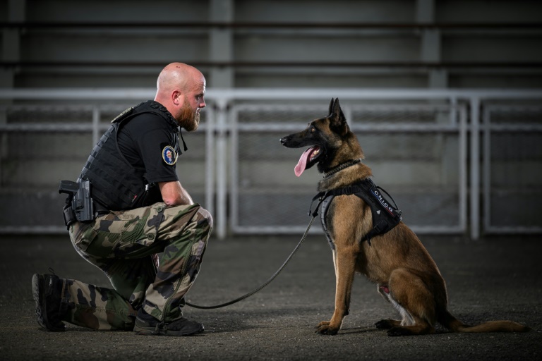 Un gendarme avec un chien policier au Centre National d'Instruction Cynophile de la Gendarmerie à Gramat, le 14 mai 2025 dans le Lot