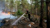 Un pompier lutte contre un incendie dans la forêt de Fontainebleau, à Noisy-sur-Ecole, en Seine-et-Marne, le 14 juillet 2026 