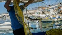 Alexis Charlambakis, un pêcheur grec, montre deux poissons-ballons pris dans ses filets à Ierapetra, en Crète, le 3 juin 2026