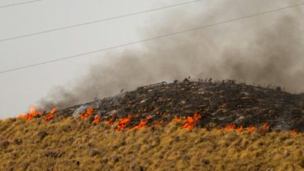 Des flammes s'étendent sur un colline près de Bedar, dans le district de Los Gallardos, dans la province espagnole d'Almería, le 11 juillet 2026 en Espagne
