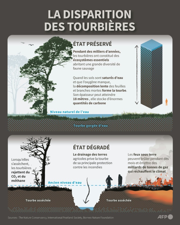 La disparition des tourbières