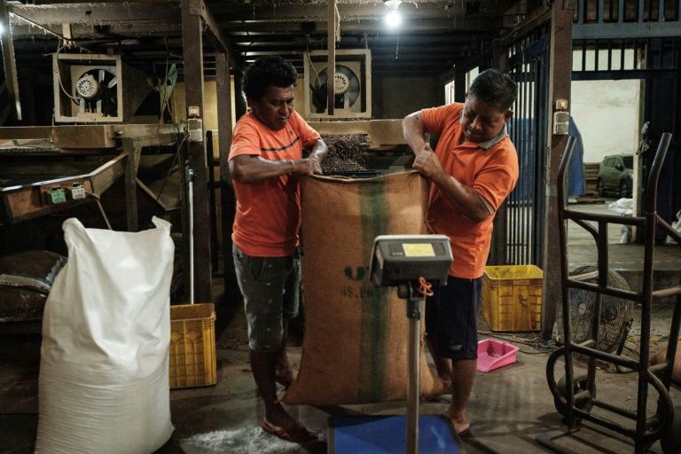 Des employés pèsent un sac de clous de girofle après l'avoir tamisé et débarrassé de ses impuretés dans un entrepôt sur l'île de Ternate, le 11 avril 2025 en Indonésie