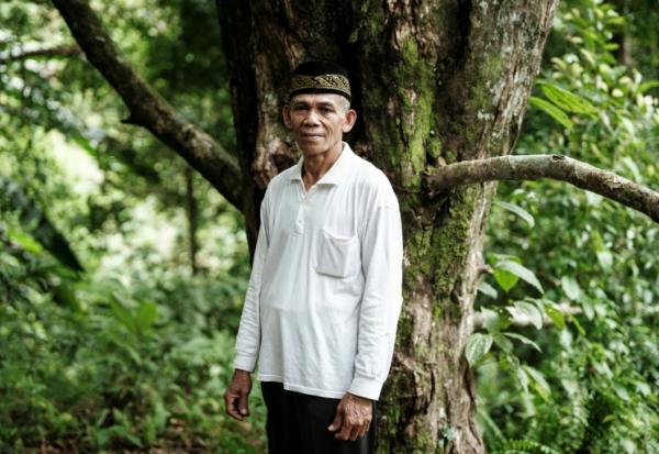 Jauhar Mahmud, cultivateur de clous de girofle, devant son giroflier préféré, âgé de 60 ans, l'un des 150 qu'il possède, sur l'île de Ternate, le 11 avril 2025 en Indonésie