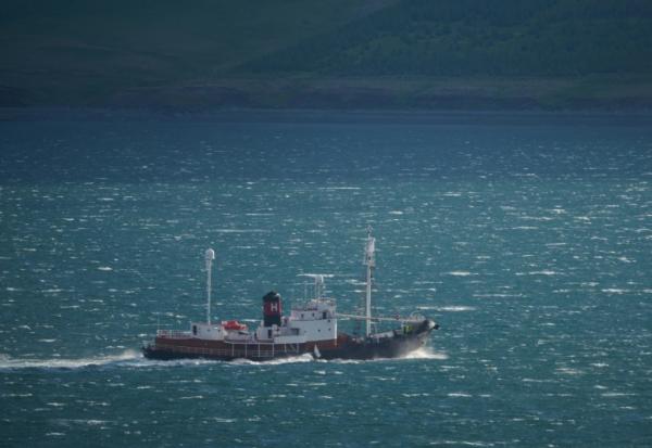 Le baleinier Hvalur 9 ramène au port un rorqual commun de 20 mètres vers le port de Hvalfjordur, près de Reykjavik, le 24 juin 2022