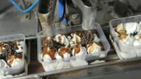 Une ligne de production de crème glacée dans une usine