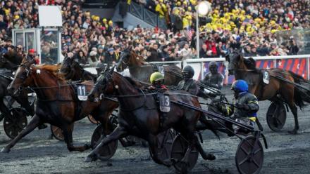 Le driver Franck Nivard, au centre, sur Hokkaido Jiel, à l'hippodrome de Vincennes à Paris lors du Prix d'Amérique le 25 janvier 2026