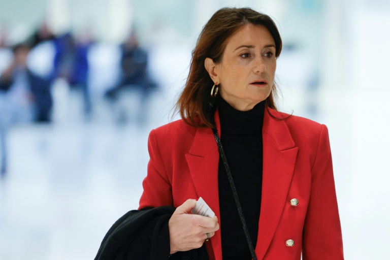 La députée Sandrine Josso le 6 novembre 2024, à Paris