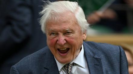 Le naturaliste britannique David Attenborough au tournoi de tennis de Wimbledon, le 1er juillet 2024