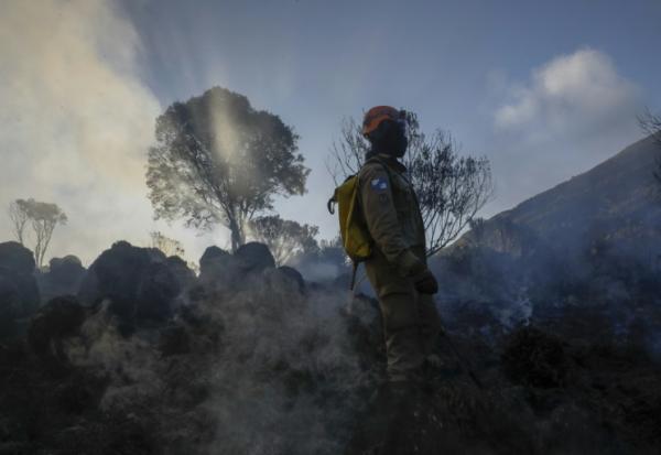 Un pompier à Itatiaia, au Brésil le 15 juin 2024