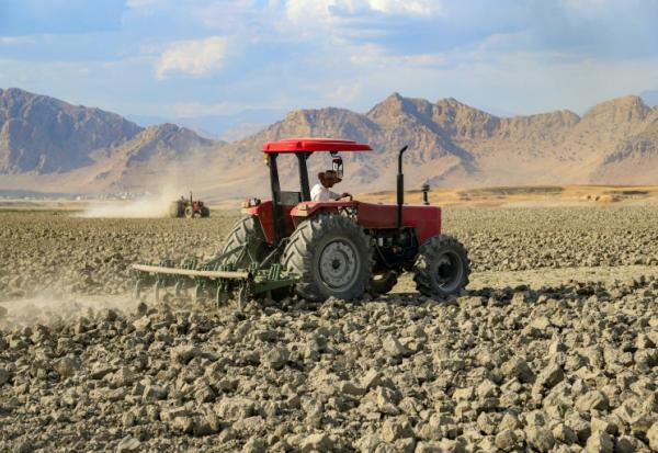 Un agriculteur dans un champ touché par la sécheresse, le 4 juin 2025 dans la région du Kurdistan irakien