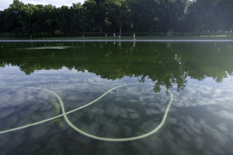 Des algues visibles dans le bassin réfléchissant du Lincoln Memorial,  alors que les efforts de nettoyage se poursuivent là où la peinture bleue s'est écaillée, le 20 juin 2026 à Washington