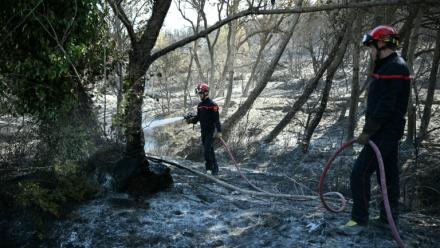 Des pompiers arrosent les arbres et la terre pour empêcher le feu de reprendre alors qu'un incendie fait rage près de la commune de Tarerach, à l'ouest de Perpignan, le 7 juillet 2026 dans les Pyrénées-Orientales