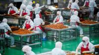 Des ouvriers préparent des lamelles de farine pour les aromatiser avant leur conditionnement à l'usine Mala Wangzi, du comté de Pingjiang, dans la province du Hunan, le 17 juin 2026 dans le centre de la Chine