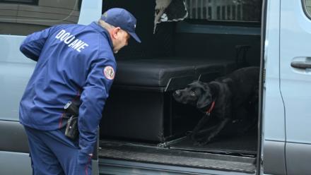 Un agent des douanes et son chien avant une opération antidrogue à Bayonne, le 22 janvier 2026 