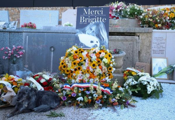 Un chien couché à côté des fleurs déposées autour de la tombe de l'actrice Brigitte Bardot, au cimetière maritime de Saint-Tropez, le 7 janvier 2026 après ses funérailles dans le Var