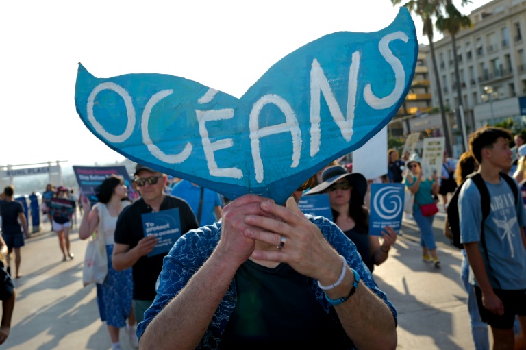 Un manifestant participe à la Marche Bleue sur la Promenade des Anglais avant la Conférence des Nations unies sur les océans, dans la ville de Nice, sur la Côte d'Azur, le 7 juin 2025