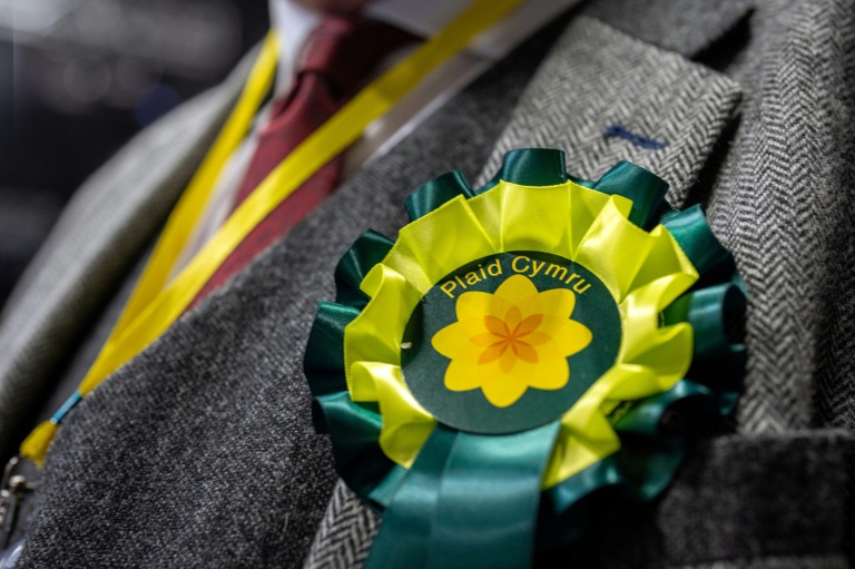 Une rosette du parti gallois indépendantiste Plaid Cymru, le 8 mai 2026 à Llandudno, au nord du pays de Galles, au Royaume-Uni