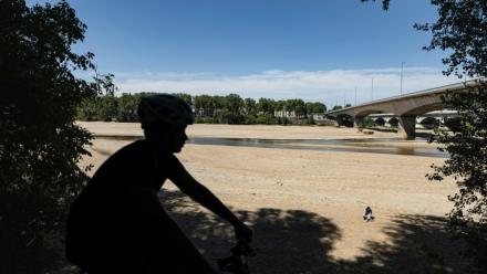 Un cycliste le long de la Loire en partie asséchée à Orléans le 20 juillet 2026